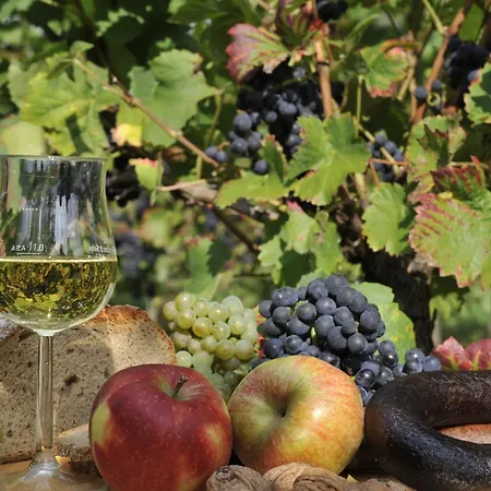 Gasthof Ferienweingut Arnold Fuhrmann&sohn Ellenz-Poltersdorf