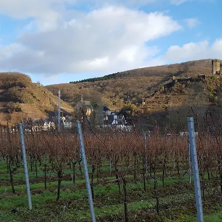 Ferienweingut Arnold Fuhrmann&sohn 4*