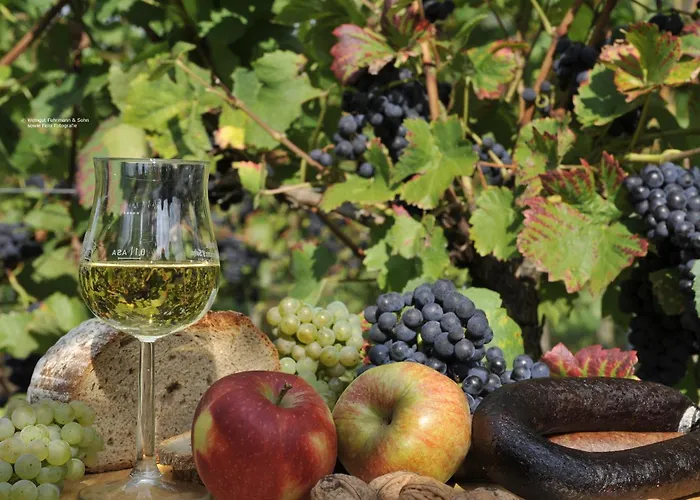 게스트하우스 Ferienweingut Arnold Fuhrmann & Sohn 엘렌츠폴터스도프