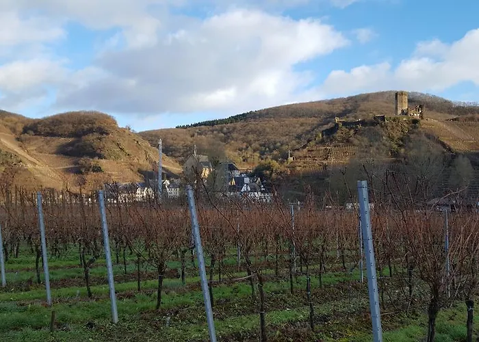 Ferienweingut Arnold Fuhrmann & Sohn 4*