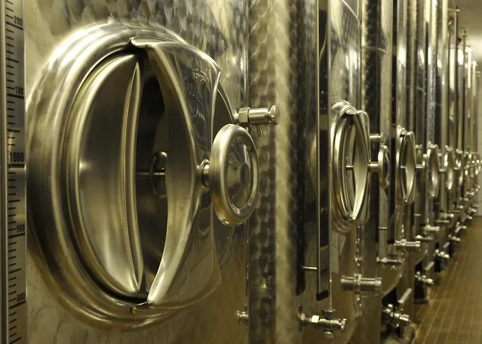 Ferienweingut Arnold Fuhrmann & Sohn 게스트하우스 4*